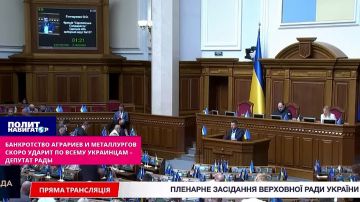 В Раде признали тотальный крах украинской металлургии и агросектора из-за паралича портов