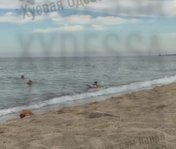 � ������ ���� ���������.. ������ ������� �� ������� �����
