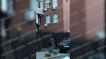 Какой-то адовый треш творится сейчас в Свинарнии