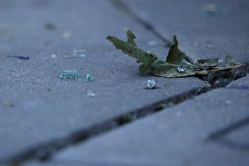 � ������ ���������� ������