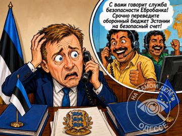 В 2024 году эстонский Государственный центр оборонных инвестиций выплатил почти €70 млн малоизвестной индийской оборонной компании на закупку снарядов для Украины