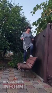 Домашняя алабайская собака жестоко укусила свою хозяйку