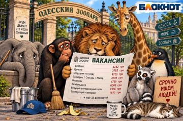 За животными некому смотреть: Одесский зоопарк ищет сотрудников на 26 должностей