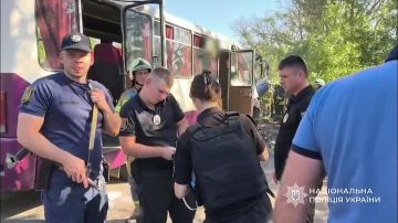 ������������ �������� ����������� � �������� �������: ��� ������� �������, 25 ������� ����������