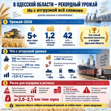 Одесса собрала рекордный урожай зернобобовых культур