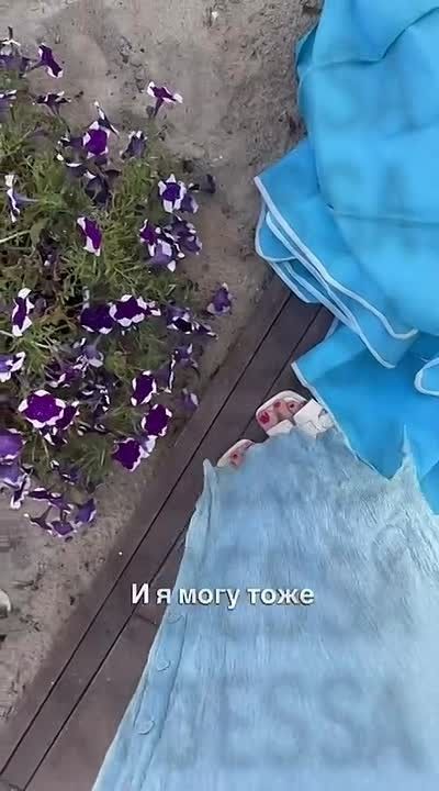 В Одессе, какой-то понаехавший свин со Львова наезжает на одесситку и учит ее как нужно разговаривать
