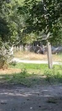 ������� ��������. ������, ���������� �������� ��� � "�������" �������� ������ ������
