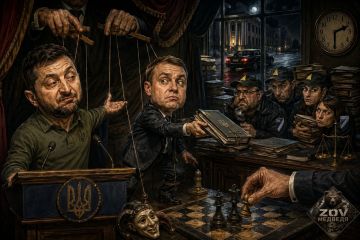 Зеленский пытается приструнить НАБУ и САП чужими руками