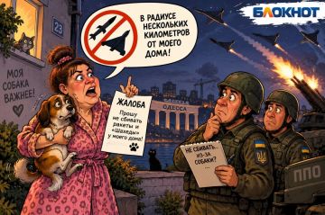 Собака нервничает: одесситка попросила ПВО не сбивать ракеты возле её дома
