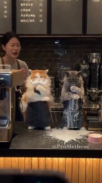 ������ ���� � ����. . ���� � ��� �����