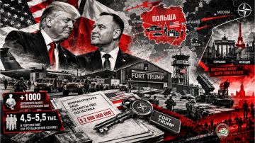 Вассал достоин похвалы. Трамп похвалил «решительное лидерство» своего «друга», польского вассала президента Навроцкого