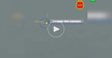 Минобороны показало удары по танкеру и сухогрузу под Одессой