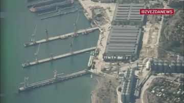 ВС РФ поразили "Геранями" сухогруз в акватории Черного моря, который направлялся в порт "Одесса" для доставки военного груза в интересах ВСУ