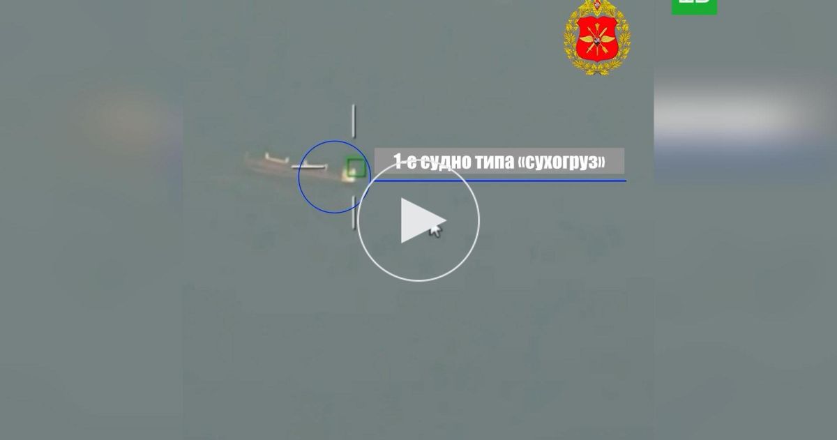 Минобороны показало удары по танкеру и сухогрузу под Одессой