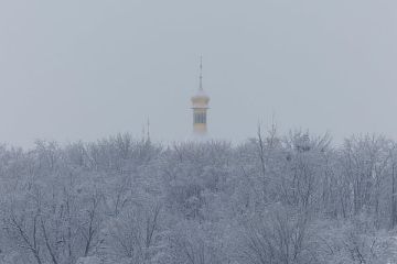 �������: ������� ���� ����� ������� ���� ��-�� ���� ������ �� ������� ��������������