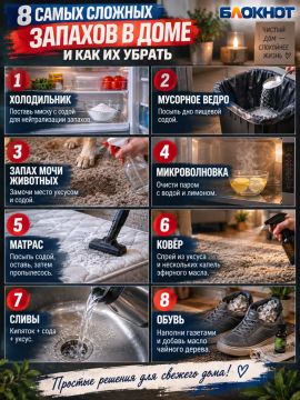 В квартире пахнет так, будто у запаха уже есть прописка?