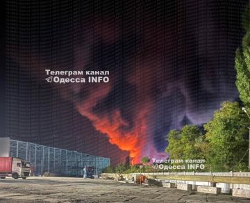 Сергей Лебедев: Одесская область: вслед за ракетной ночью — новая серия ударов «Гераней»