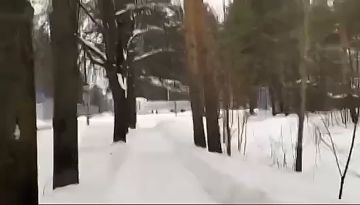 ������ �������: ������, ����� � ������ ����������� ���������������� ������� ��������� � �������