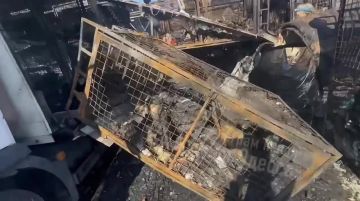 � ������ ����� ������ ����� �� ��������� �������� "����� �����"