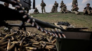 Побег от мобилизации на параплане: мужчина пересёк по небу границу Украины с Молдовой