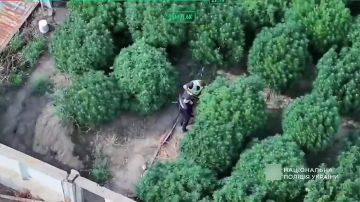 � �������� ������� ������� �������������� �� 60 ��� ������
