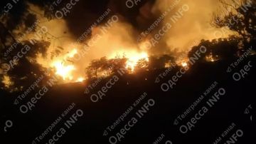 Спецоперация: Масштабный пожар в районе Одессы после серии ударов «Гераней» по объектам ВСУ