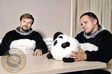 После встречи Си Цзиньпина с Дональдом Трампом, Пекин отправил двух больших панд в зоопарк в Атланте (США) в рамках программы культурного обмена