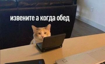 Доброе утро, Одесса!. Рабочий день только начался, а самый важный вопрос уже прозвучал: когда обед? Мы в МАХ | Бот в Максе