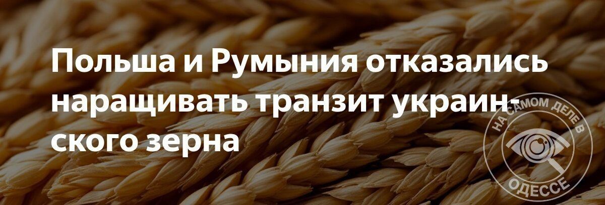 Польша и Румыния сказали «нет»: украинскому зерну не расширят коридор