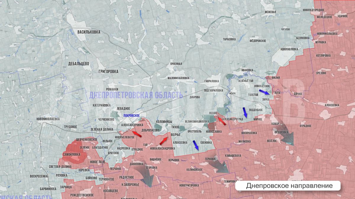 Олег Царёв: Фронтовая сводка 16 октября
