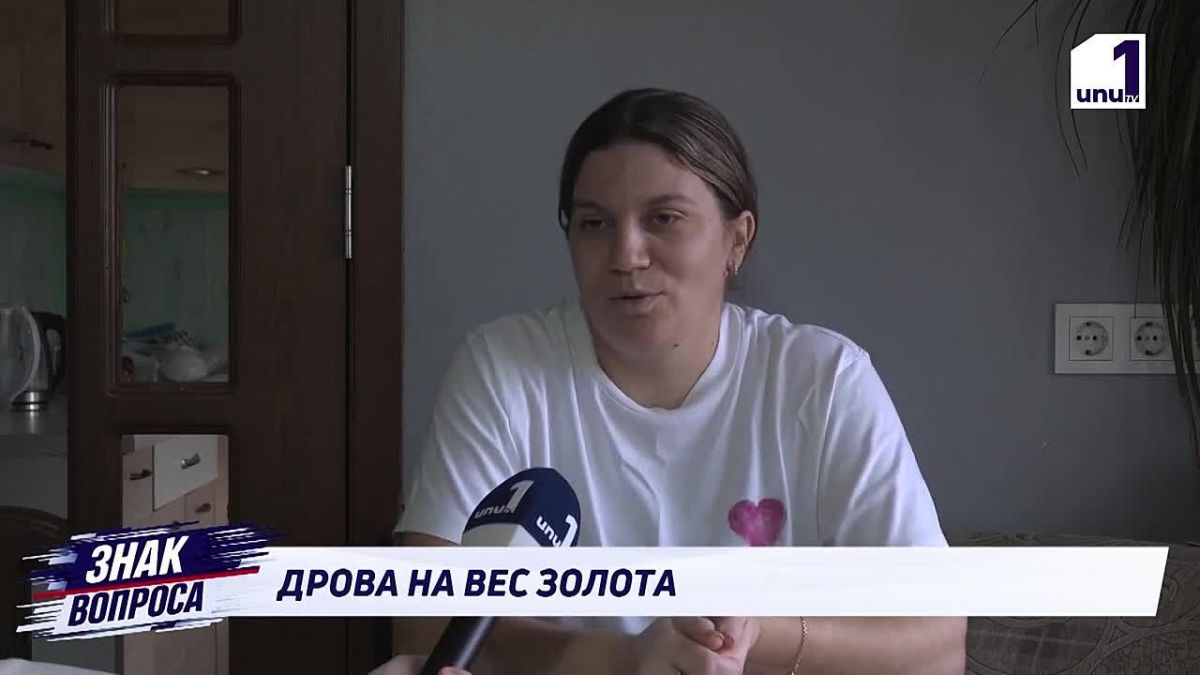 Молдова переходит на дрова: газ стал слишком дорогим